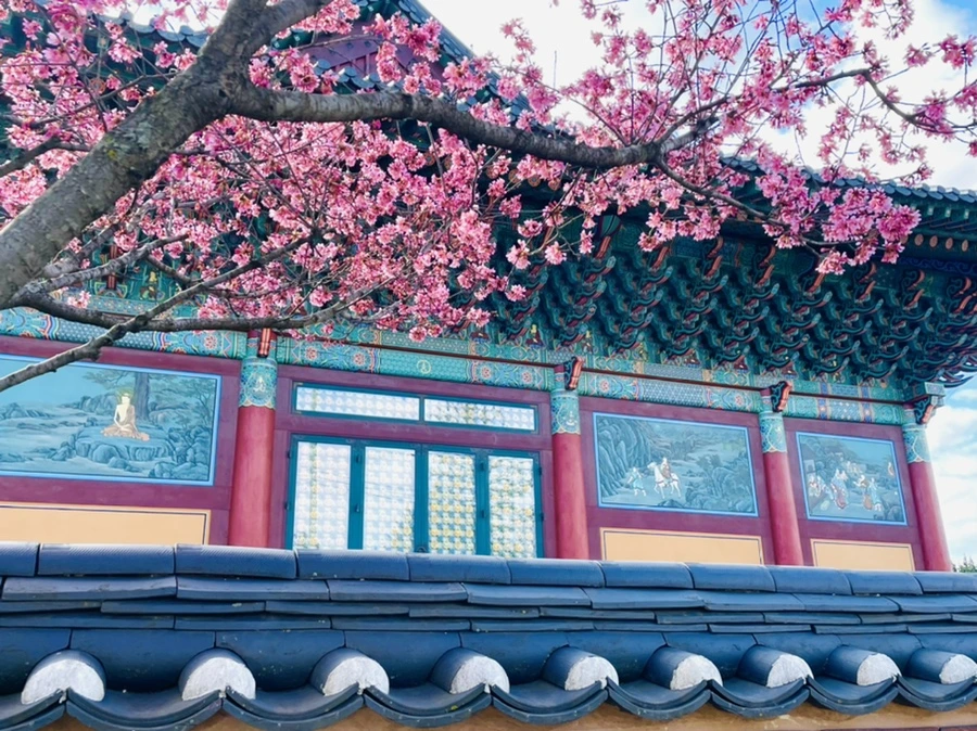 IMG_6200.jpg?type=w966