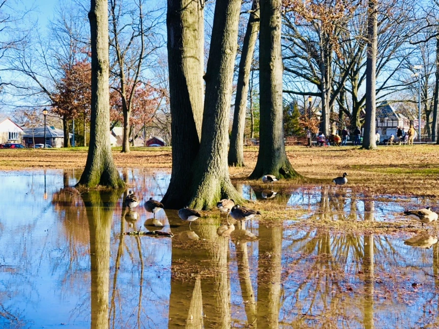 IMG_9702.jpg?type=w966