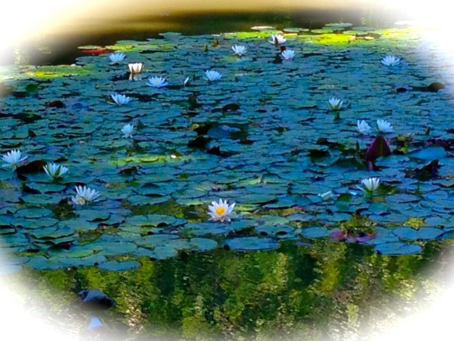 -Qk63nTvZrCbbVKxzJBqXpTX1F4