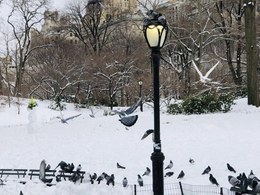 IMG_9129.jpg?type=w966