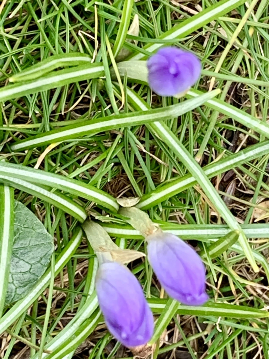 IMG_7077.jpg?type=w966