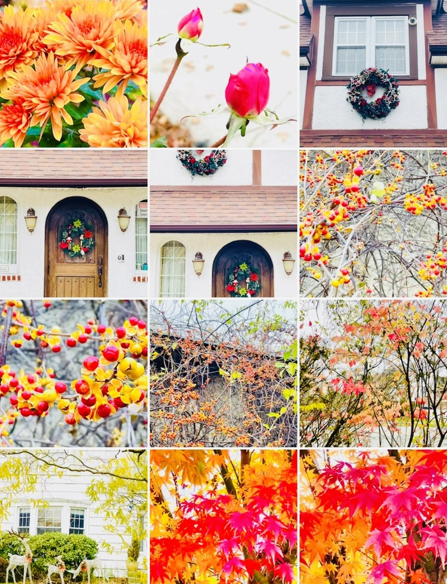 IMG_6227.jpg?type=w966