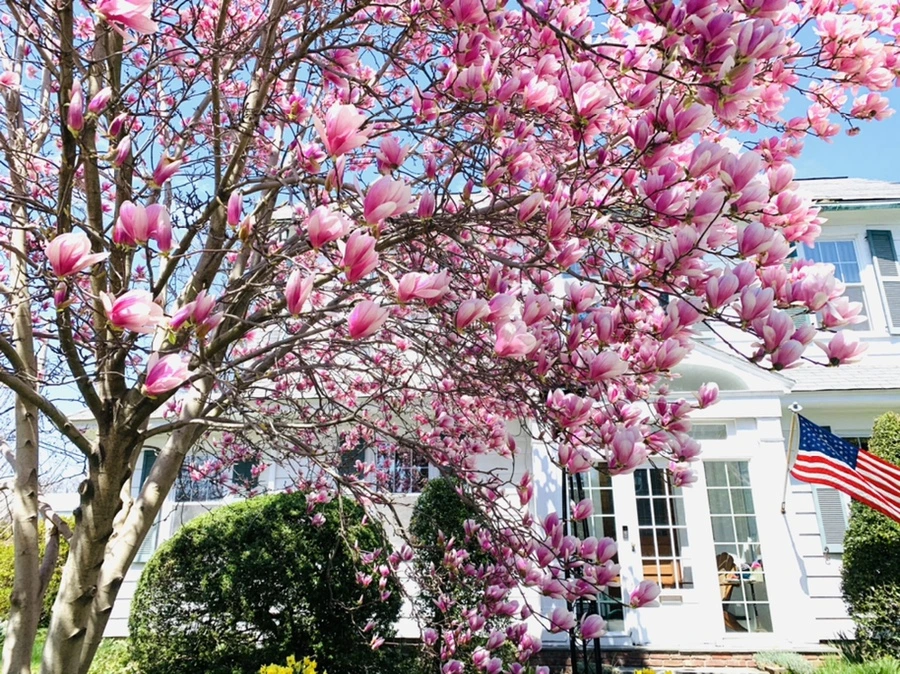 IMG_8569.jpg?type=w966