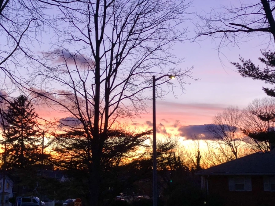 IMG_4611.jpg?type=w966