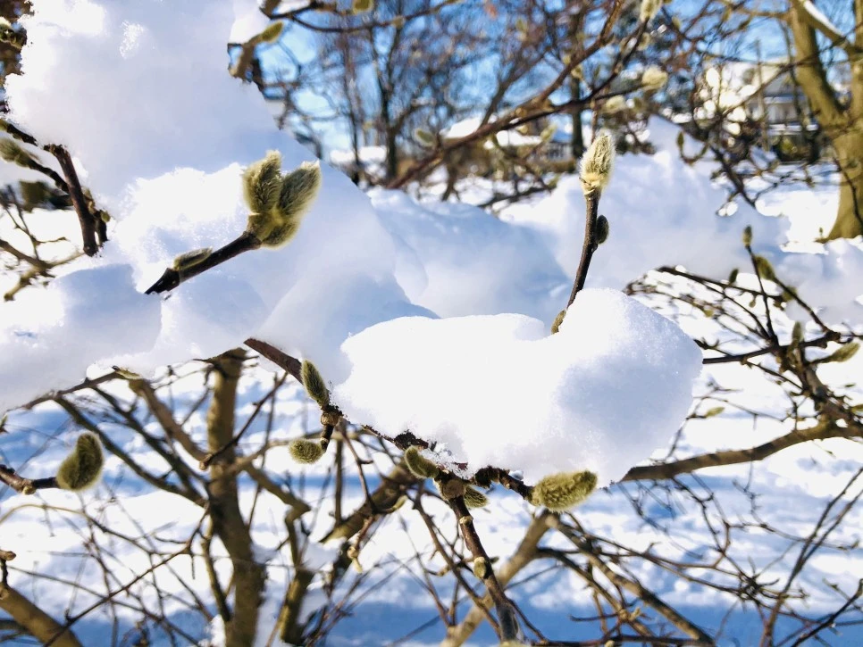 IMG_1359.jpg?type=w966