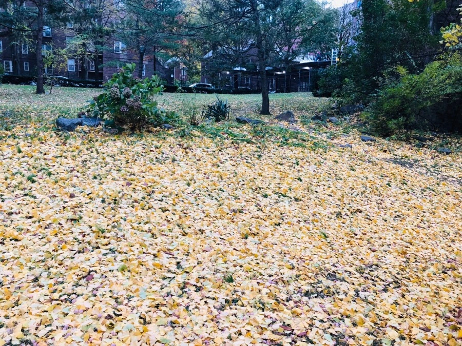 IMG_7744.jpg?type=w966