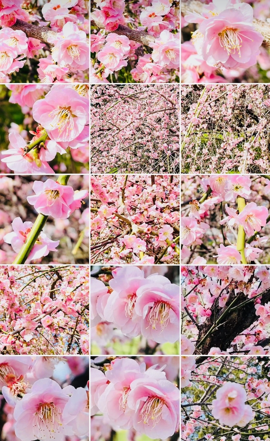 IMG_6780.jpg?type=w966