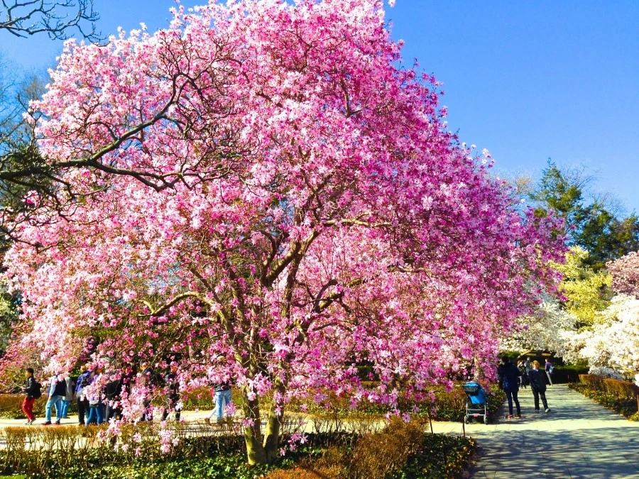 IMG_3308.JPG?type=w1