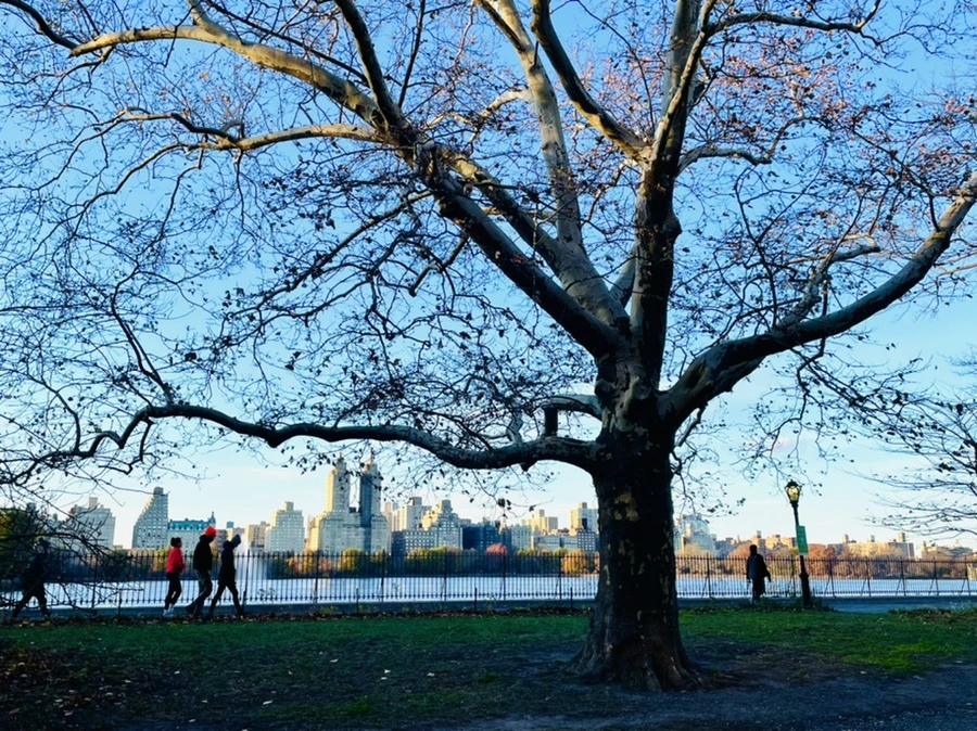 IMG_5728.jpg?type=w966