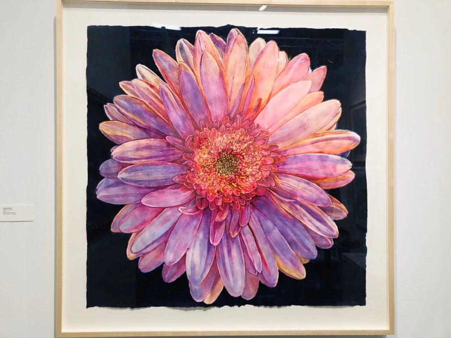 IMG_5853.jpg?type=w966