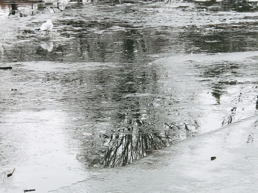 IMG_3136.jpg?type=w966