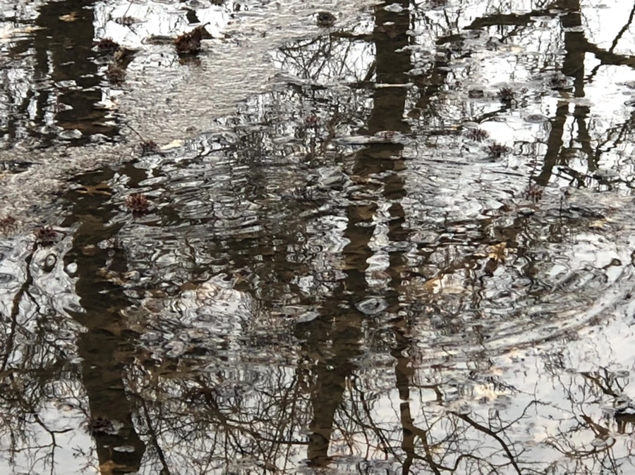 IMG_5653.jpg?type=w966