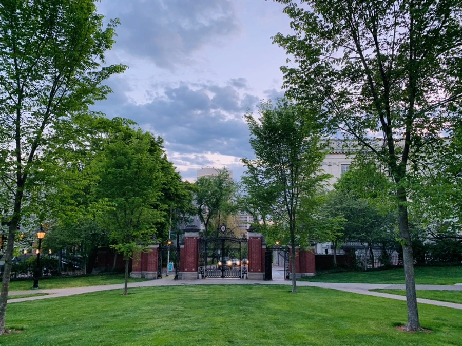 IMG_2566.jpg?type=w966