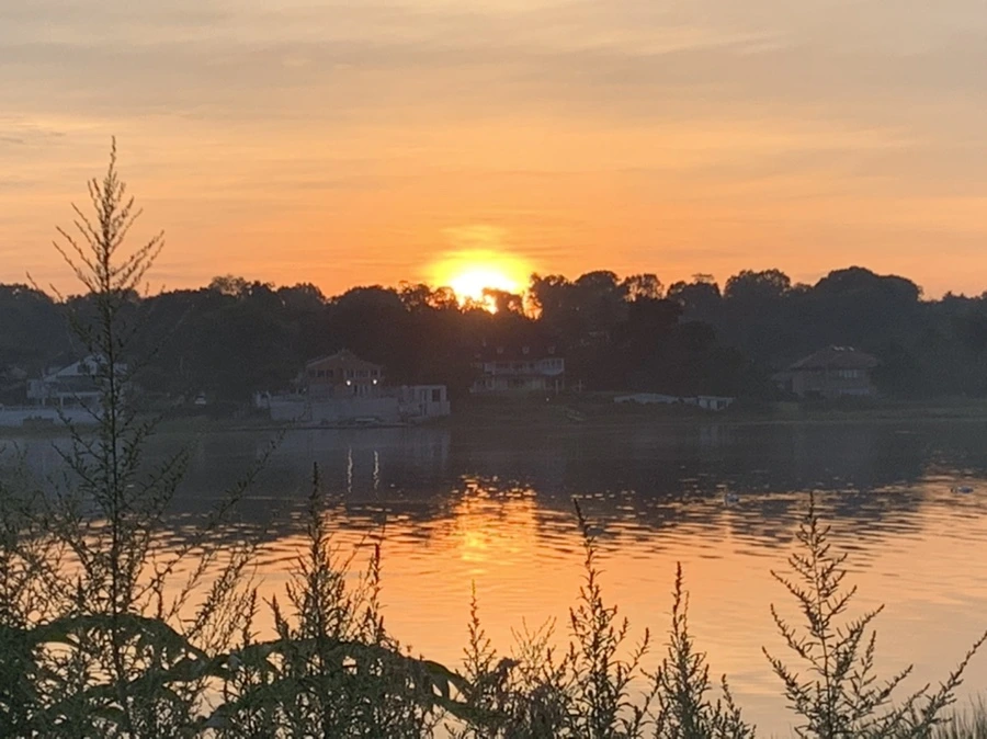 IMG_6835.jpg?type=w966