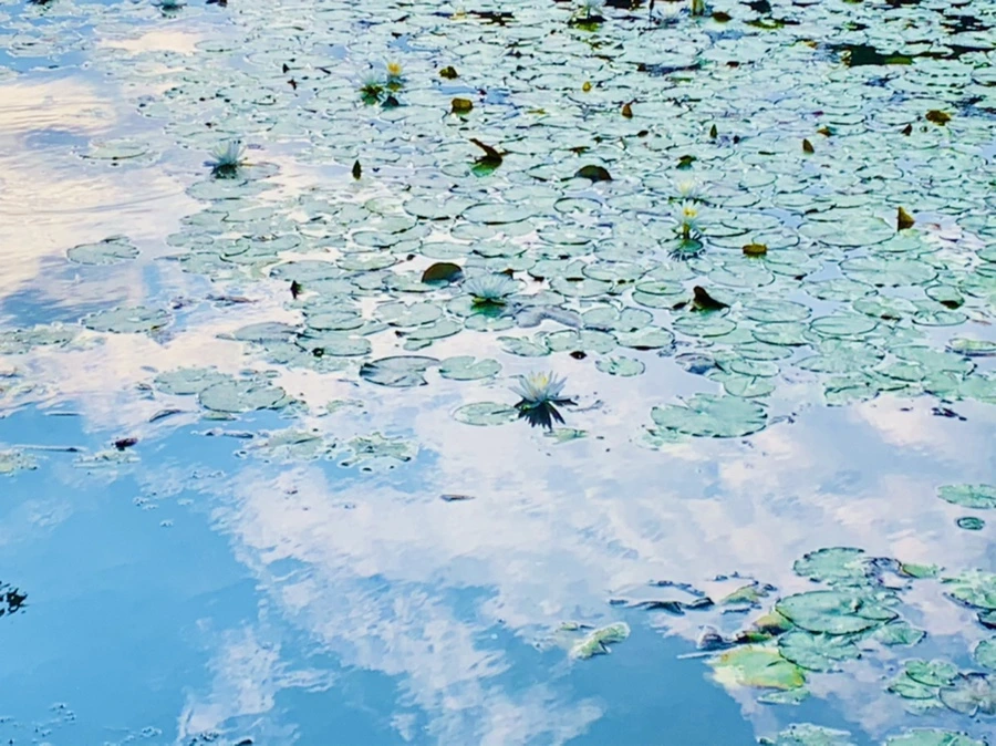 IMG_5846.jpg?type=w966