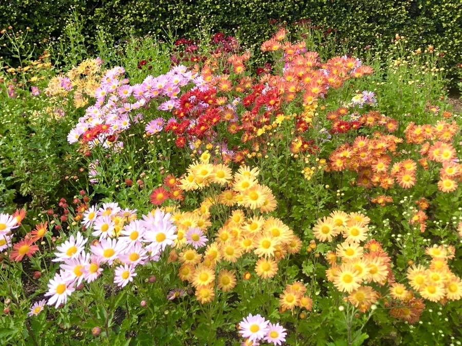 IMG_2014.jpg?type=w966