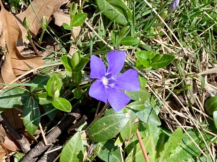 IMG_4512.jpg?type=w966