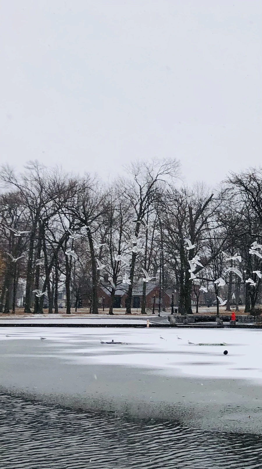 IMG_6095.jpg?type=w966