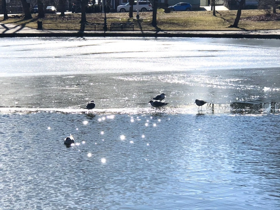 IMG_6792.jpg?type=w966