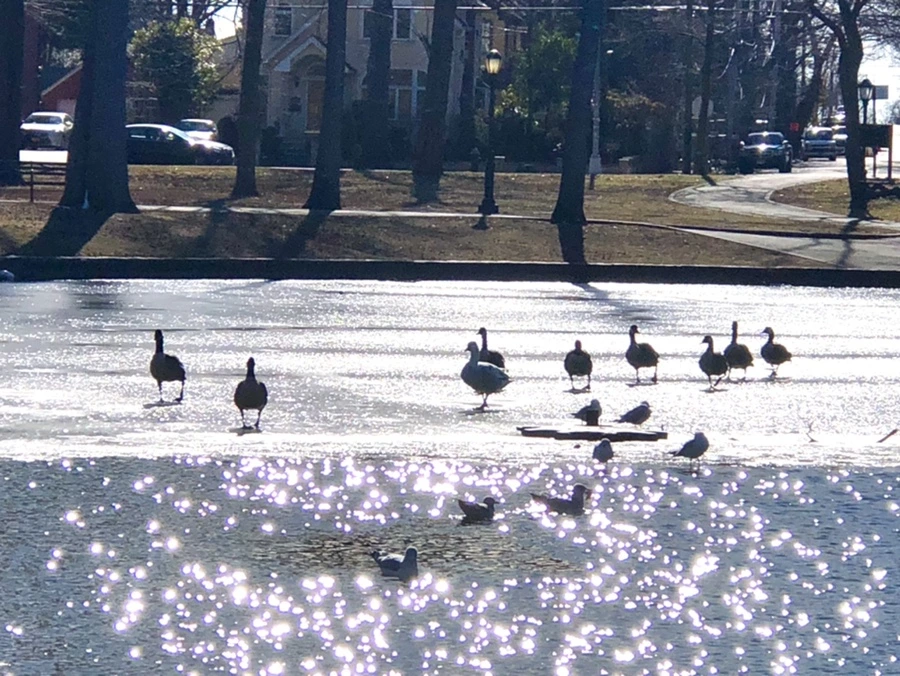 IMG_6677.jpg?type=w966