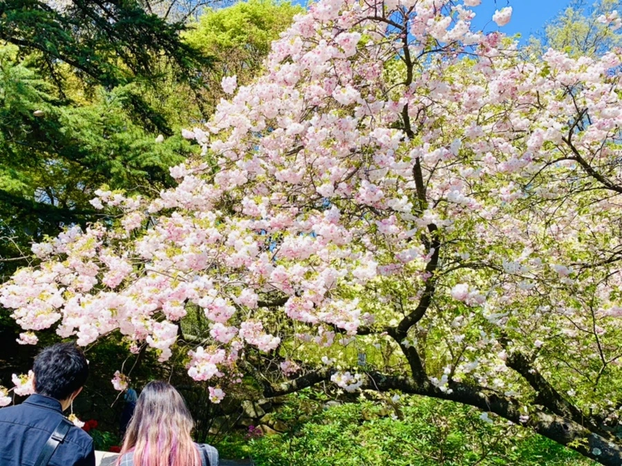 IMG_4816.jpg?type=w966