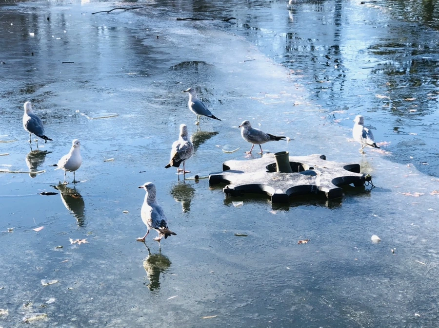 IMG_1853.jpg?type=w966