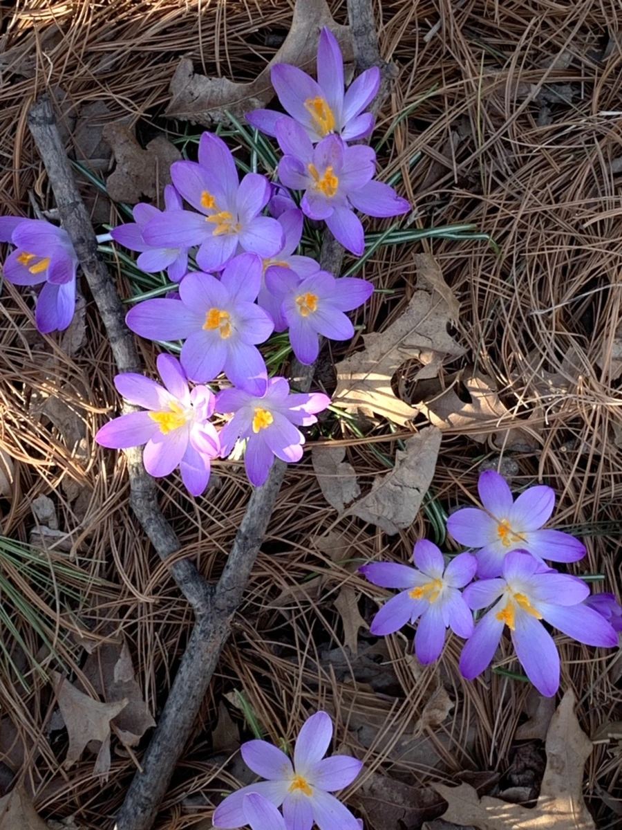 IMG_0405.jpg?type=w966