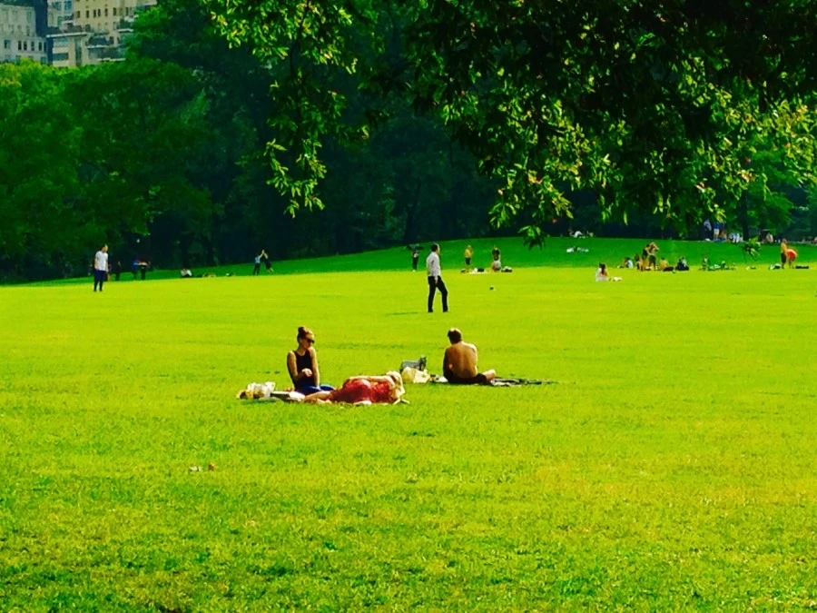 IMG_5524.jpg?type=w1