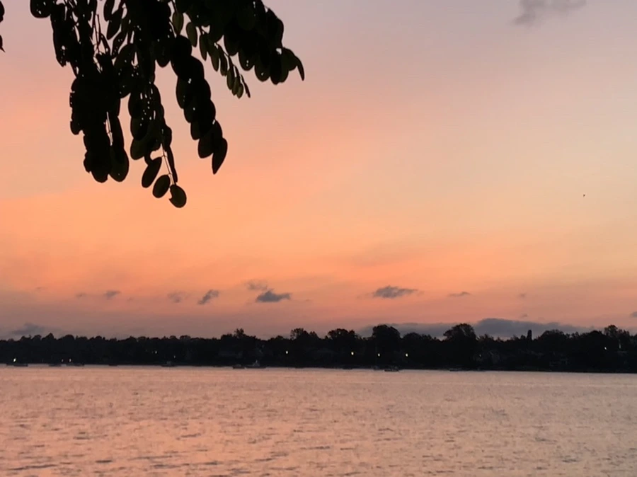 IMG_5340.jpg?type=w966