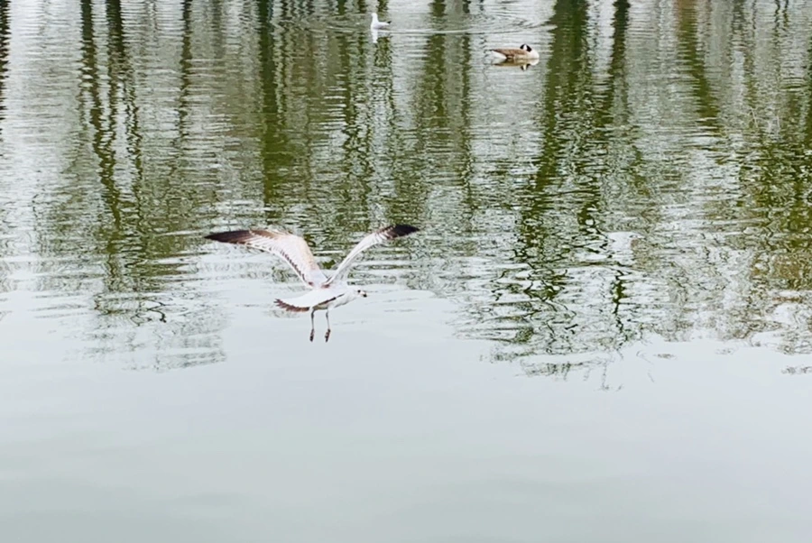 IMG_3849.jpg?type=w966