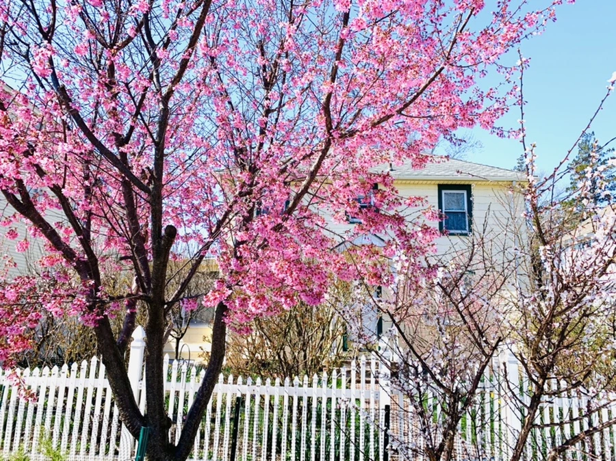 IMG_7631.jpg?type=w966