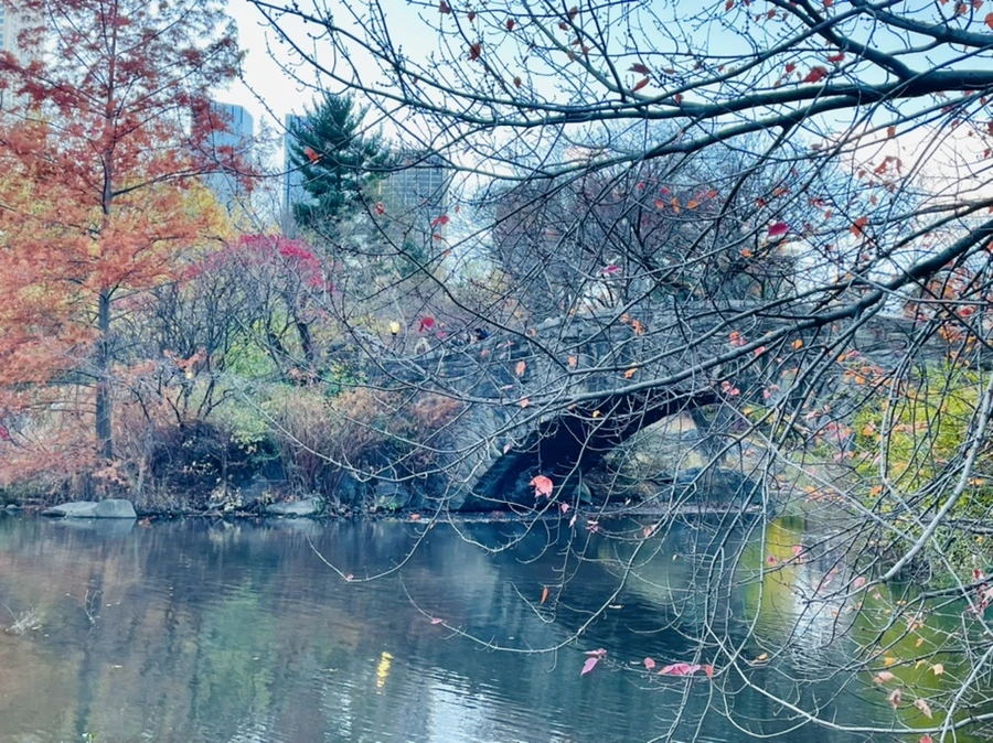 IMG_5026.jpg?type=w966