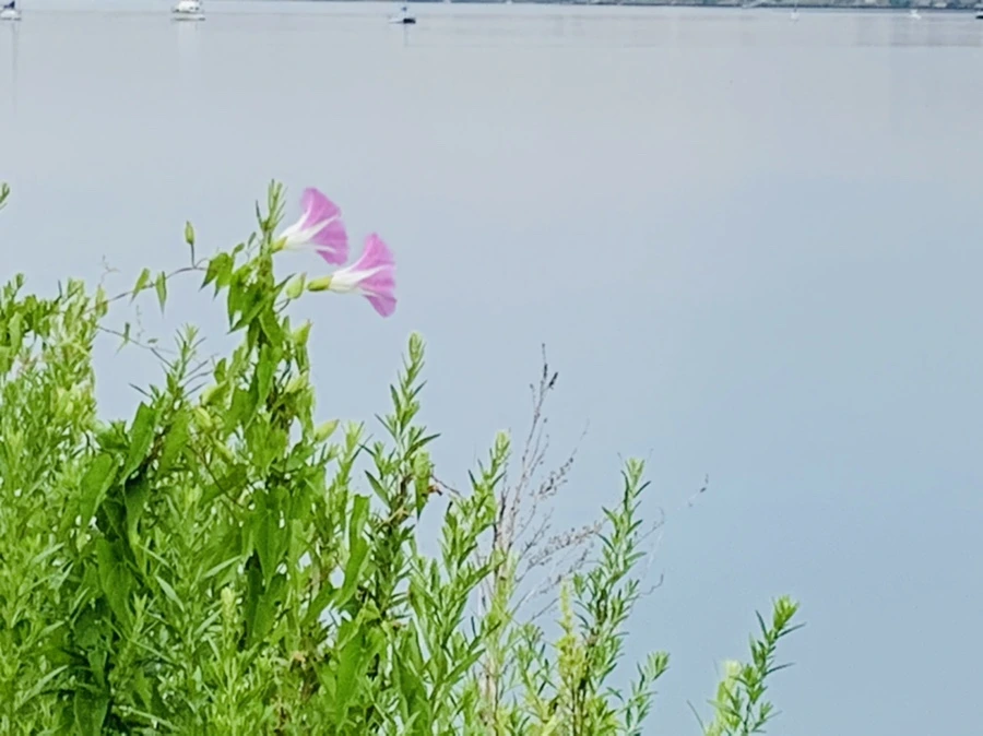 IMG_0561.jpg?type=w966