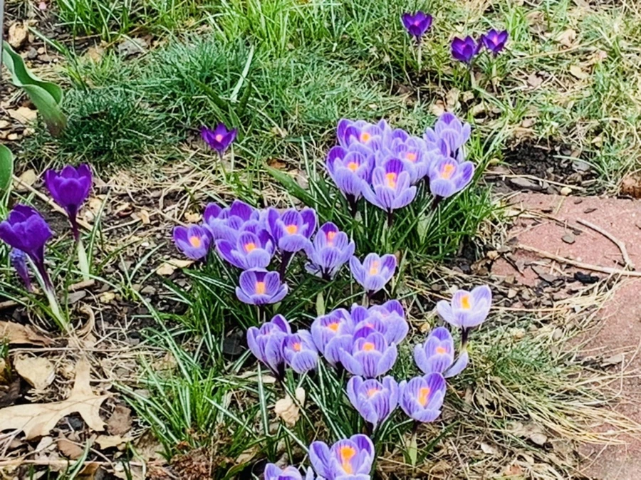 IMG_3766.jpg?type=w966