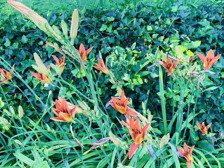 IMG_4843.jpg?type=w966