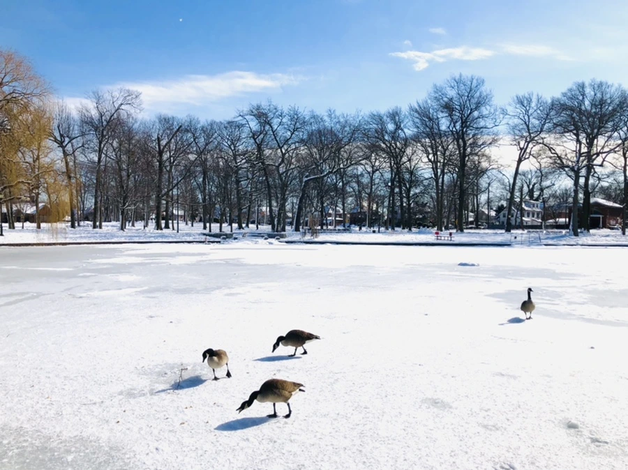 IMG_1338.jpg?type=w966