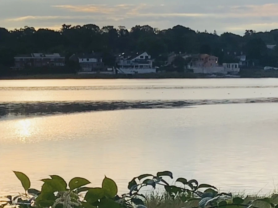 IMG_7754.jpg?type=w966