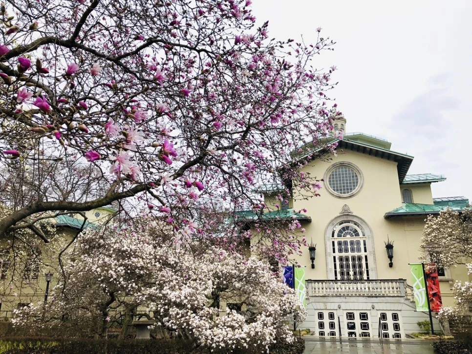 IMG_2400.jpg?type=w966