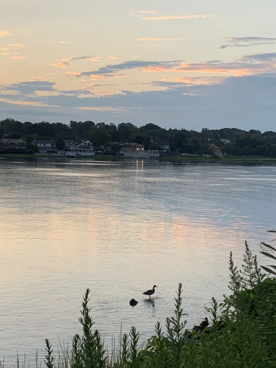 IMG_1188.jpg?type=w966