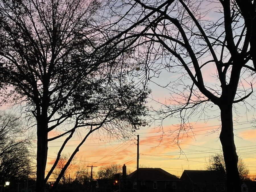 IMG_6866.jpg?type=w966