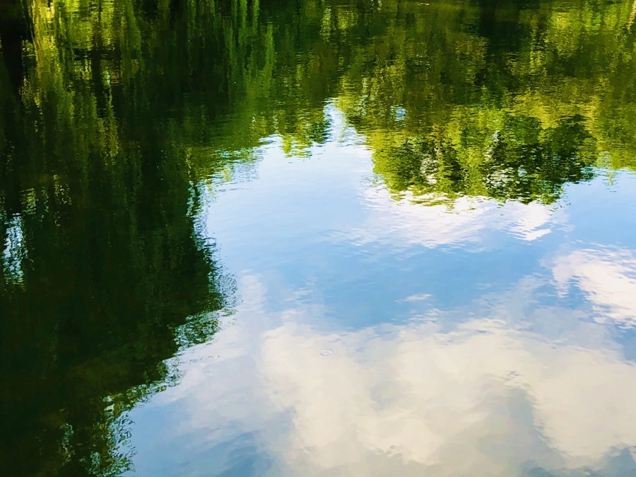 IMG_2932.jpg?type=w966