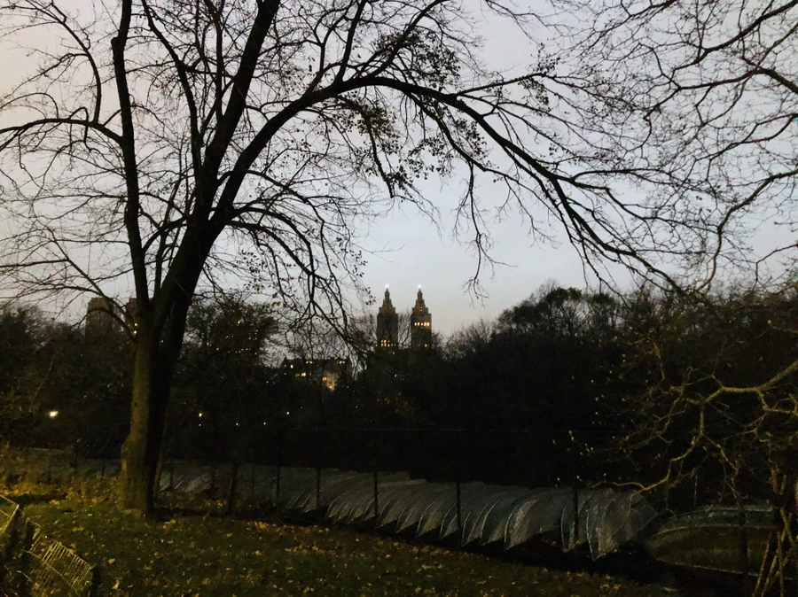 IMG_5177.jpg?type=w966