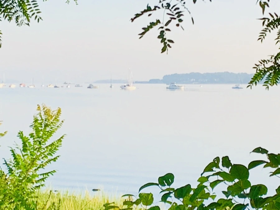 IMG_7429.jpg?type=w966