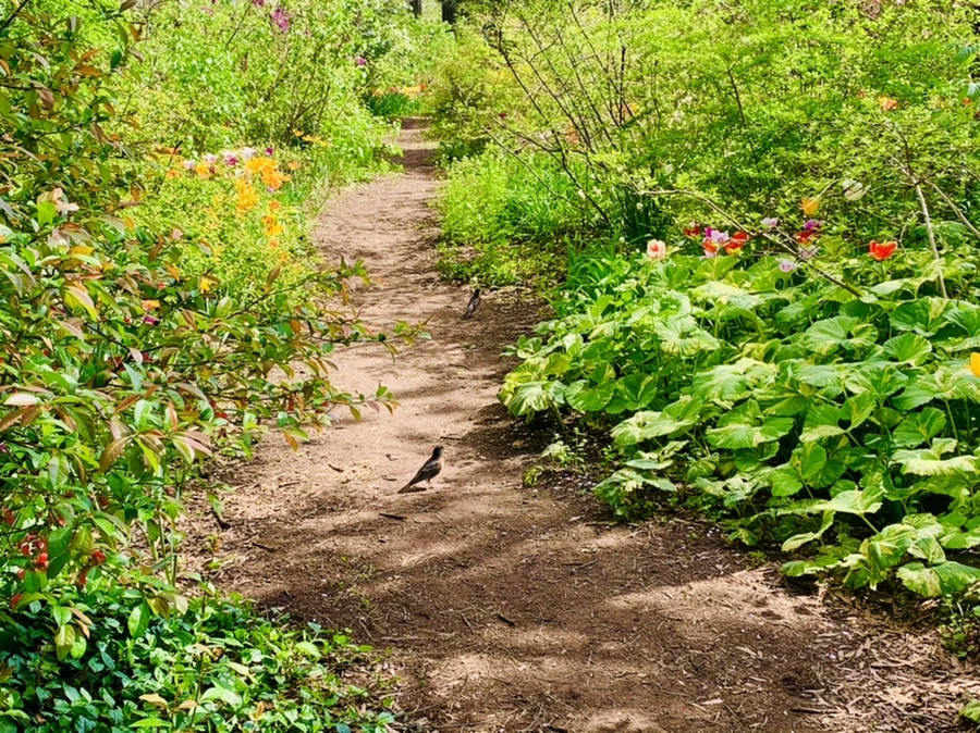 IMG_6858.jpg?type=w966