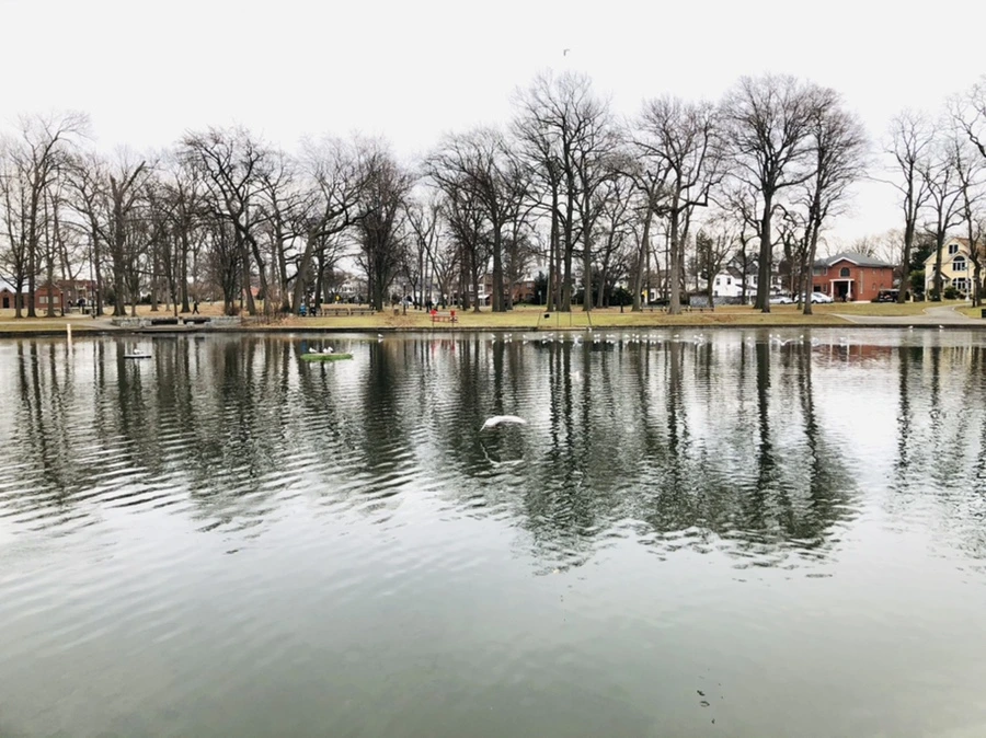 IMG_1010.jpg?type=w966