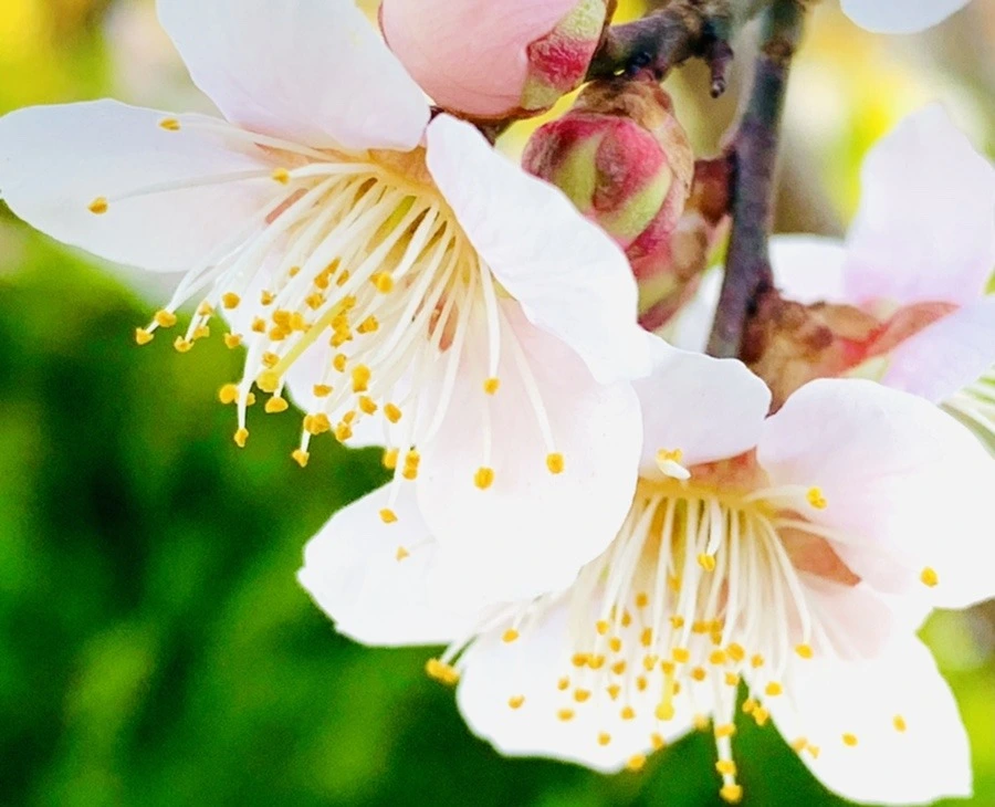 au4A17HAos_t-3OmUptU7kl6BIc