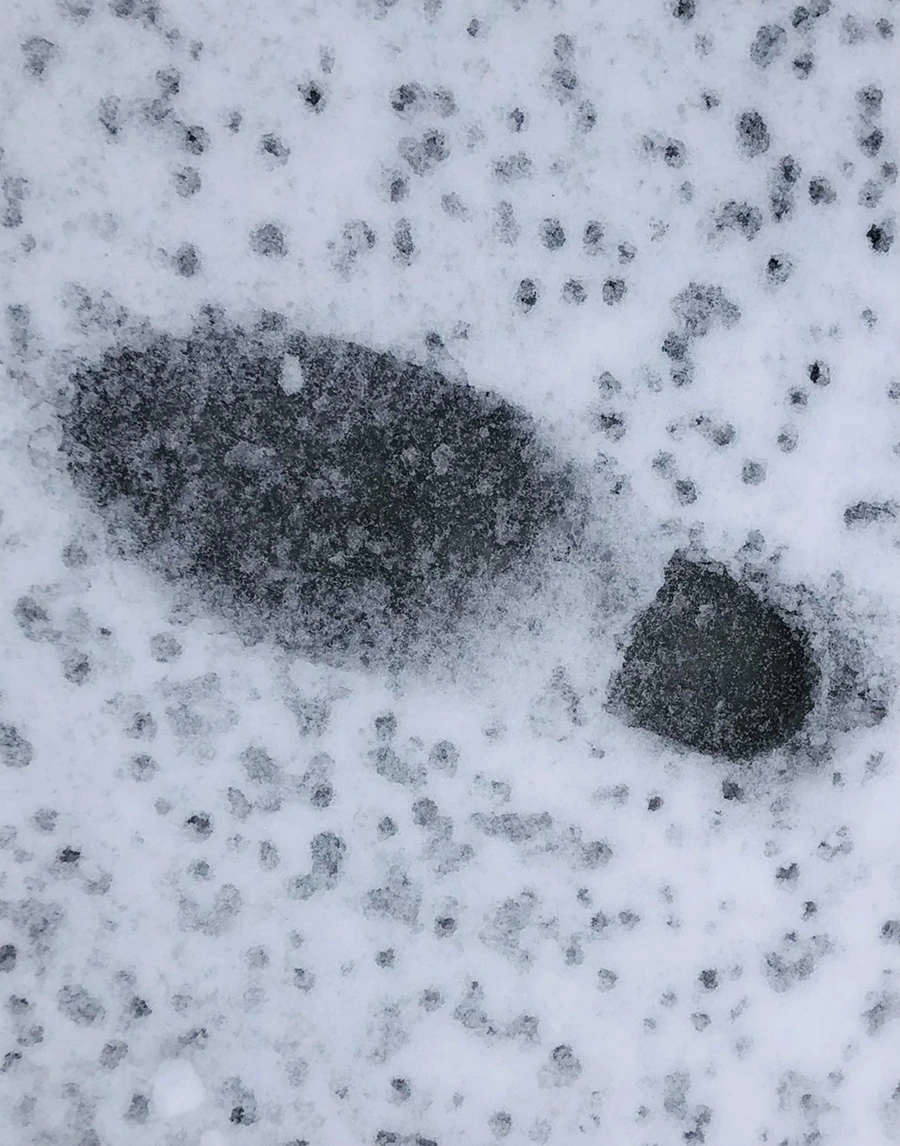 IMG_8943.jpg?type=w966