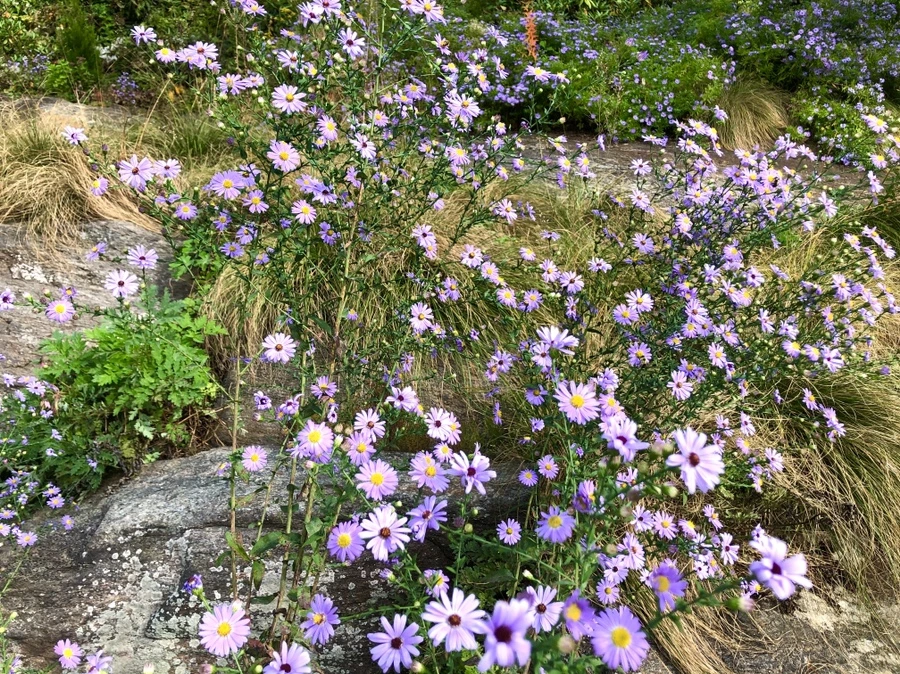 IMG_1581.jpg?type=w966