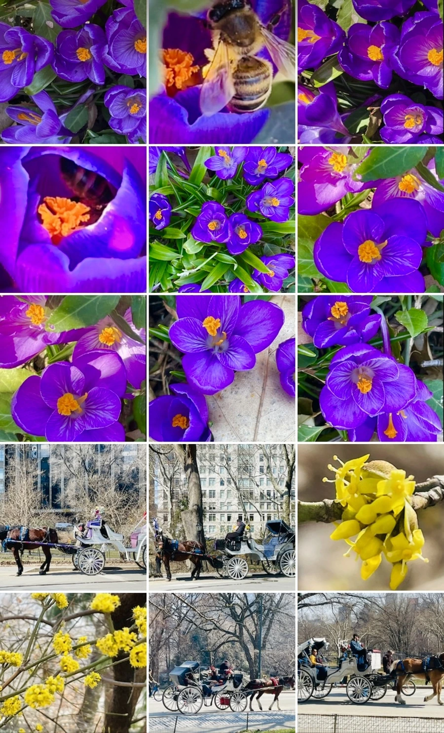 IMG_5666.jpg?type=w966