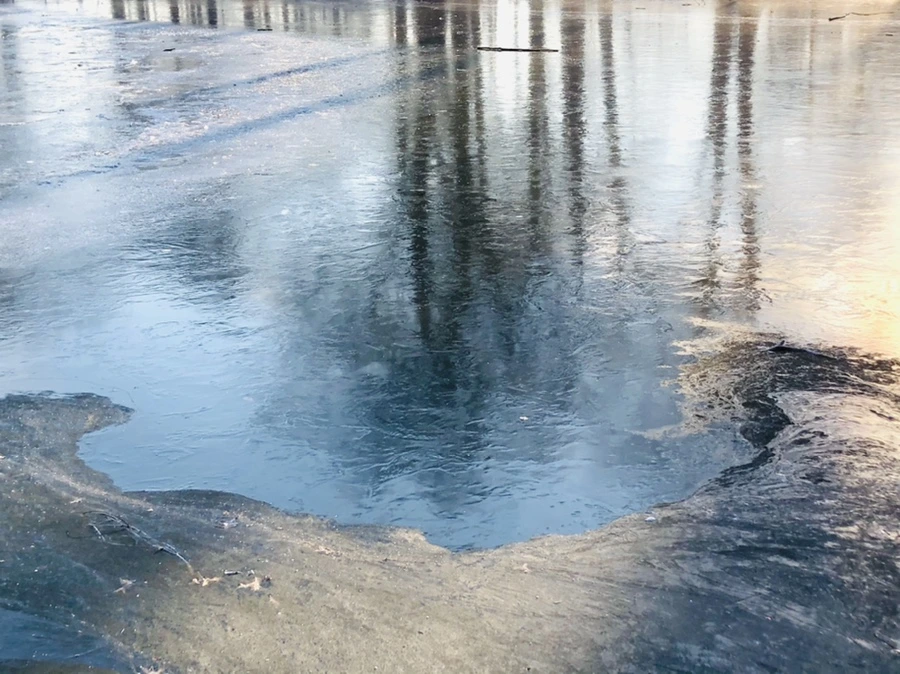 IMG_2236.jpg?type=w966